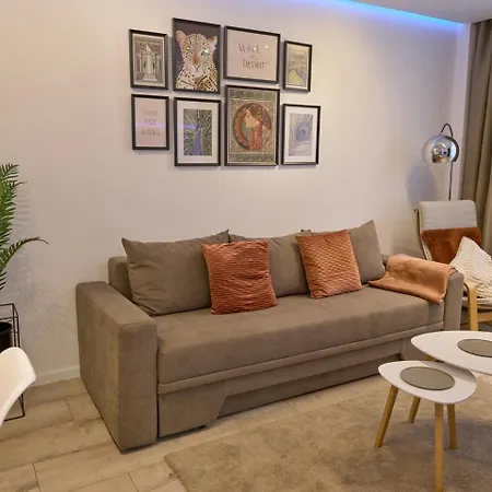 Domenii Market بوخارست