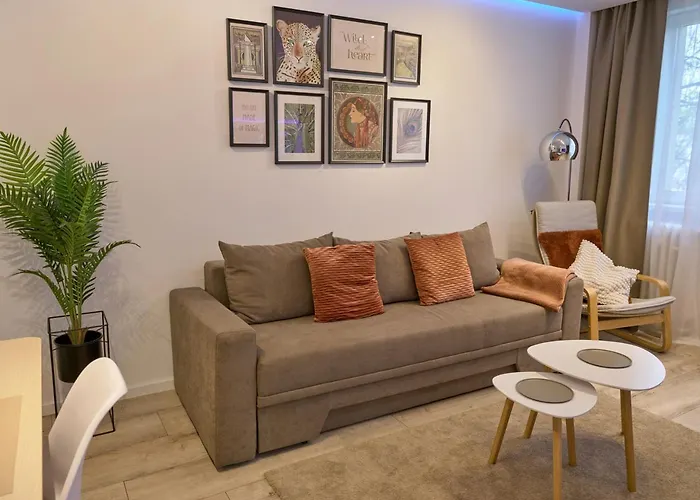 Domenii Market بوخارست